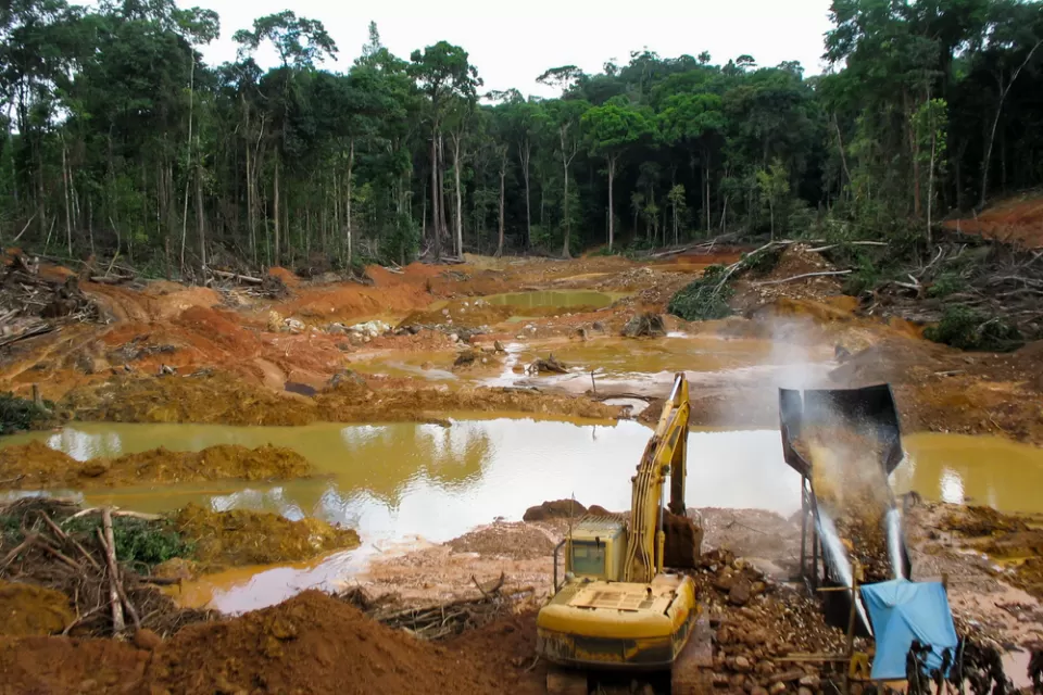 Environmental Destruction